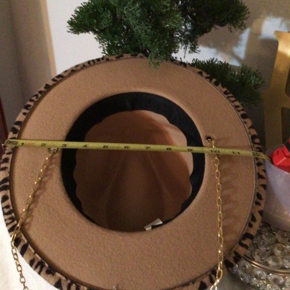 fedora - Picture 4 of 4